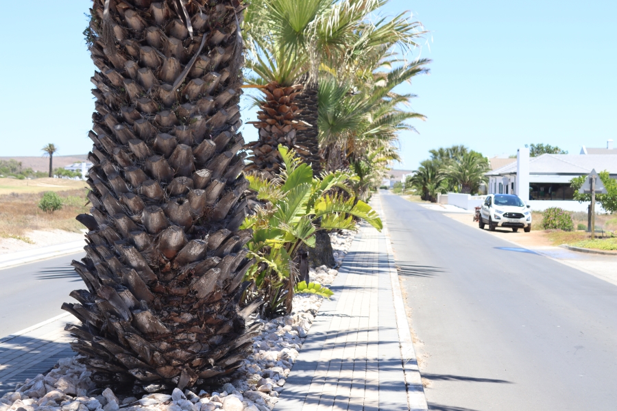 0 Bedroom Property for Sale in Shelley Point Western Cape